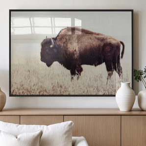 48406-MGV-FP-60X30-3P_Black-American Bison Wall Art – Rustic Buffalo Canvas Print in Prairie Field, Western Wildlife Photography Decor for Cabin, Lodge,