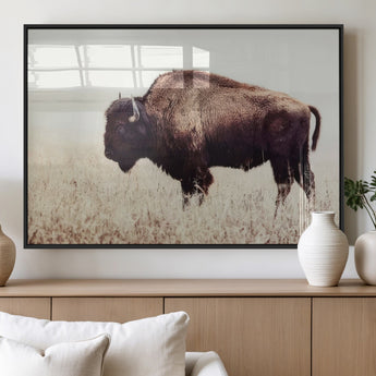 48406-MGV-FP-60X30-3P_Black-American Bison Wall Art – Rustic Buffalo Canvas Print in Prairie Field, Western Wildlife Photography Decor for Cabin, Lodge,