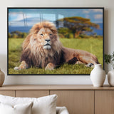 67826-MGV-FP-60X30-3P_Black-Majestic Lion Wall Art – King of the Jungle Canvas Print, Safari Wildlife Decor for Living Room, Office, or Man Cave