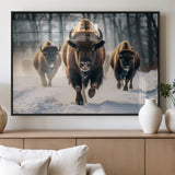 56549-MGV-FP-60X30-3P_Black-Wild Bison Wall Art – Majestic Buffalo Herd Running in Snow Canvas Print, Rustic Wildlife Photography Decor for Cabin, Lodge, or