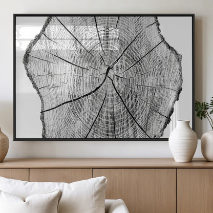 98709-MGV-FP-60X30-3P_Black-Tree Ring Wall Art – Black and White Canvas Print Rustic Wood Cross Section, Minimal Nature Inspired Decor for Living Room,