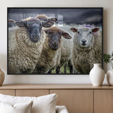 18418-MGV-FP-60X30-3P_Black-Sheep Wall Art Canvas Print, Framed Farmhouse Sheep Art Picture Print, Sheep Herd Perfect Rustic Farmhouse Decor Artwork