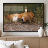 25085-MGV-FP-60X30-3P_Black-Sleeping Fox Wall Art Canvas Print, Framed Rustic Fox Art Picture Print, Wildlife Animal Perfect Rustic Farmhouse Decor Artwork
