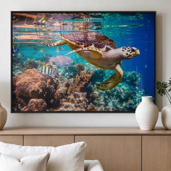 66614-MGV-FP-36X24-3P_Black-Sea Turtle Wall Art – Hawksbill Turtle Swimming Over Coral Reef Canvas Print, Ocean Marine Life Decor for Beach House, Coastal