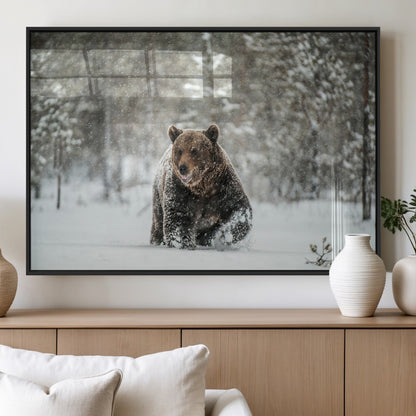 43350-MGV-FP-36X24-3P_Black-Wild Bear in Snow Wall Art – Majestic Wildlife Photography Print, Winter Forest Nature Decor for Cabin, Lodge, Rustic Home,