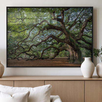 MGV-FP-36X24-3P - Historic Tree Wall Art Canvas Print, Framed Mossy Tree Art Picture Print, Twisted Branches Perfect Nature Southern Decor Artwork