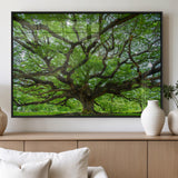 49375306-MGV-FP-36X24-3P_Black-Ancient Tree Wall Art Canvas Print, Framed Sprawling Branches Art Picture Print, Gnarling Tree Perfect Earthy Natural Decor