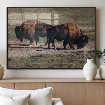 58141885-MGV-FP-36X24-3P_Black-Bison Photography Wall Art Canvas Print, Framed Western Wildlife Art Picture Print, Modern Ranch Perfect Western Rustic Decor