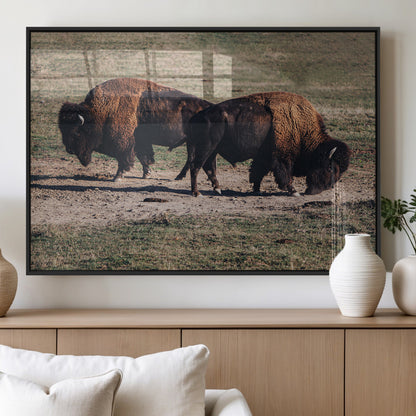 58141885-MGV-FP-36X24-3P_Black-Bison Photography Wall Art Canvas Print, Framed Western Wildlife Art Picture Print, Modern Ranch Perfect Western Rustic Decor