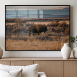 39509187-MGV-FP-36X24-3P_Black-Western Wildlife Wall Art Canvas Print, Framed Bison Art Picture Print, Golden Hour Perfect Western Rustic Decor Artwork