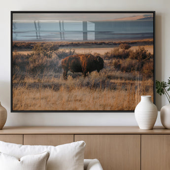 39509187-MGV-FP-36X24-3P_Black-Western Wildlife Wall Art Canvas Print, Framed Bison Art Picture Print, Golden Hour Perfect Western Rustic Decor Artwork