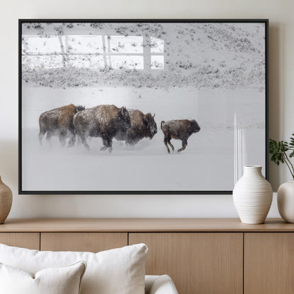 61161423-MGV-FP-36X24-3P_Black-Running Bison Herd Wall Art – Winter Buffalo Canvas Print, Wildlife Photography Decor for Rustic Living Room, Farmhouse, Lodge,