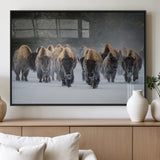 30332489-MGV-FP-36X24-3P_Black-Winter Bison Herd Wall Art – Powerful Buffalo Canvas Print, Rustic Wildlife Photography Decor for Farmhouse, Cabin, Lodge, Living