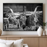 15425553-MGV-FP-36X24-3P_Black-Western Wall Art – Longhorn Cattle Black and White Canvas Print, Rustic Ranch Photography Decor for Bedroom, Living Room, Office,