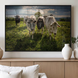 67277447-MGV-FP-36X24-3P_Black-Farmhouse Wall Art – Herd of Cows Canvas Print, Rustic Country Pasture Photography Decor for Bedroom, Living Room, Office, Ranch,