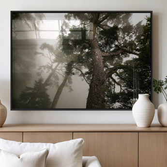 87969493-MGV-FP-36X24-3P_Black-Forest Wall Art – Misty Tall Trees Canvas Print, Dramatic Woodland Photography Decor for Bedroom, Living Room, Office, Cabin,