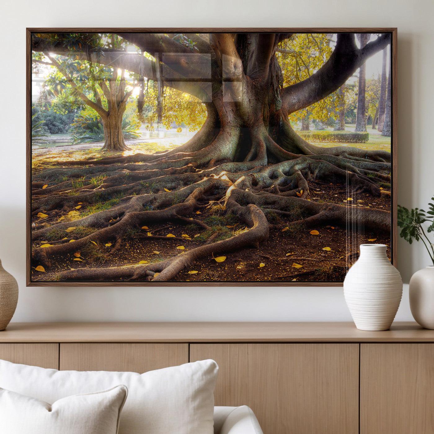 53335-MGV-FP-36X24-3P_Walnut-Majestic Tree with Sprawling Roots Wall Art – Serene Sunlit Park Scene, Nature Canvas Print, Perfect for Living Room, Office or