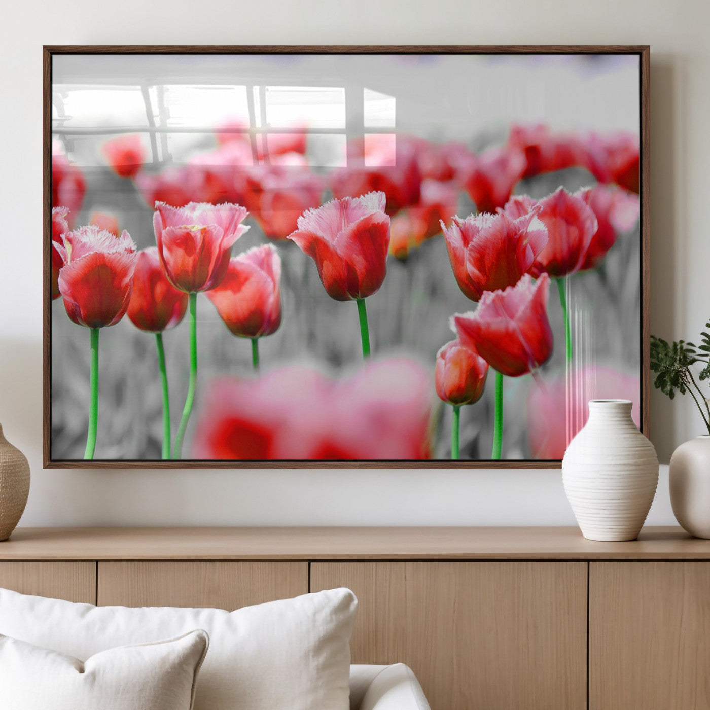 44554-MGV-FP-36X24-3P_Walnut-Vibrant red tulips stand out beautifully against a black-and-white background, making a striking decor piece perfect for any home