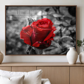 84671-MGV-FP-36X24-3P_Walnut-Red Rose Wall Art – Vibrant Single Bloom Canvas Print with Black and White Background, Elegant Floral Decor for Living Room,