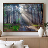 42047-MGV-FP-36X24-3P_Walnut-Sunlit Forest Path Wall Art – Nature Canvas Print, Serene Woodland Landscape, Perfect Home & Office Decor for Calm and Tranquil