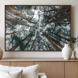 18790-MGV-FP-36X24-3P_Walnut-Pine Canopy Wall Art – Panoramic View of Towering Pines Canvas Print, Nature-Inspired Decor for Office, Cabin or Living Room