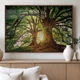 52150-MGV-FP-36X24-3P_Walnut-Majestic Tree Wall Art – Large Nature Canvas Print with Sunlight Through Branches, Rustic Forest Decor for Living Room, Bedroom or