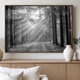 39665-MGV-FP-36X24-3P_Walnut-Black and White Forest Path Wall Art – Sunlight Rays in Trees Canvas Print, Nature Landscape Decor for Living Room or Office
