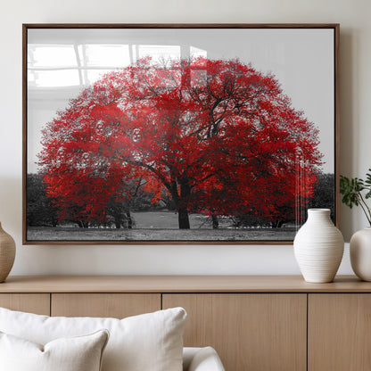 80021-MGV-FP-36X24-3P_Walnut-Red Tree Wall Art – Striking Black and White Landscape Canvas Print with Vibrant Red Leaves, Modern Nature Decor for Living Room