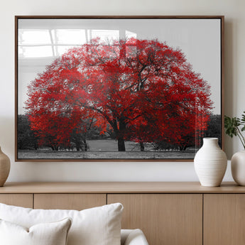 80021-MGV-FP-60X30-3P_Walnut-Red Tree Wall Art – Striking Black and White Landscape Canvas Print with Vibrant Red Leaves, Modern Nature Decor for Living Room