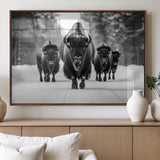 45287-MGV-FP-36X24-3P_Walnut-Bison Herd Wall Art – Black and White Buffalo Snow Road Canvas Print, Rustic Wildlife Decor for Cabin, Lodge or Living Room