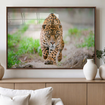 75066-MGV-FP-60X30-3P_Walnut-Leopard Wall Art Canvas Print, Framed Wild Animal Art Picture Print, Blue Eye Leopard Perfect Wild Minimal Decor Artwork