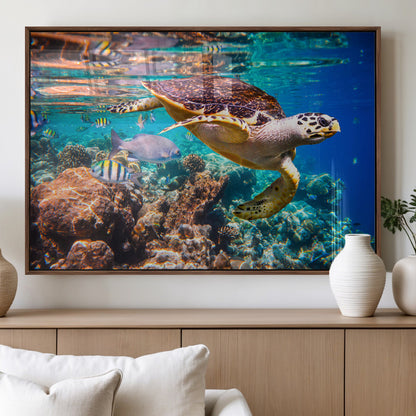 66614-MGV-FP-36X24-3P_Walnut-Sea Turtle Wall Art – Hawksbill Turtle Swimming Over Coral Reef Canvas Print, Ocean Marine Life Decor for Beach House, Coastal