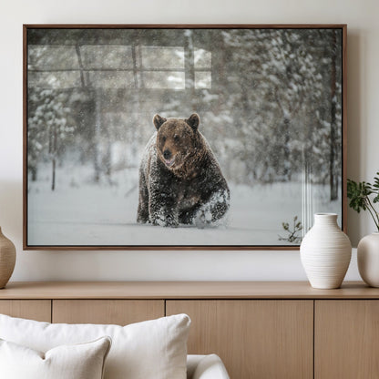 43350-MGV-FP-36X24-3P_Walnut-Wild Bear in Snow Wall Art – Majestic Wildlife Photography Print, Winter Forest Nature Decor for Cabin, Lodge, Rustic Home,