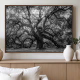 132944706-MGV-FP-36X24-3P_Walnut-Ancient Tree Wall Art – Black and White Photography Canvas Print Featuring Majestic Twisting Branches, Rustic Nature Artwork for
