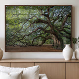 MGV-FP-36X24-3P - Historic Tree Wall Art Canvas Print, Framed Mossy Tree Art Picture Print, Twisted Branches Perfect Nature Southern Decor Artwork