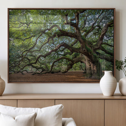MGV-FP-36X24-3P - Historic Tree Wall Art Canvas Print, Framed Mossy Tree Art Picture Print, Twisted Branches Perfect Nature Southern Decor Artwork