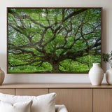49375306-MGV-FP-36X24-3P_Walnut-Ancient Tree Wall Art Canvas Print, Framed Sprawling Branches Art Picture Print, Gnarling Tree Perfect Earthy Natural Decor