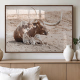 25407592-MGV-FP-60X30-3P_Walnut-Texas Longhorn Wall Art Canvas Print, Framed Resting Bull Art Picture Print, Spotted Cattle Perfect Rustic Western Decor Artwork