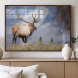 26365841-MGV-FP-36X24-3P_Walnut-Mountain Elk Art Wall Art Canvas Print, Framed Rustic Wildlife Print Art Picture Print, Lodge Style Decor Perfect Rustic Lodge