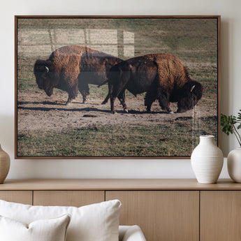 58141885-MGV-FP-36X24-3P_Walnut-Bison Photography Wall Art Canvas Print, Framed Western Wildlife Art Picture Print, Modern Ranch Perfect Western Rustic Decor