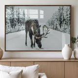 13316292-MGV-FP-36X24-3P_Walnut-Moose in Snow Wall Art Canvas Print, Framed Winter Wildlife Art Picture Print, Snowy Forest Scene Perfect Rustic Lodge Decor