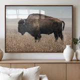 69909079-MGV-FP-36X24-3P_Walnut-Bison Wall Art – Majestic Buffalo Canvas Print in Prairie Grasslands, Rustic Western Animal Painting, Farmhouse Ranch Decor for