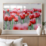 44554-MGV-FP-36X24-3P_Natural-Vibrant red tulips stand out beautifully against a black-and-white background, making a striking decor piece perfect for any home