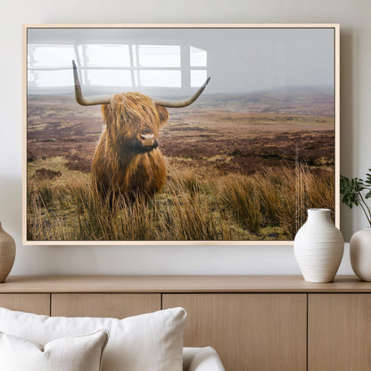 79391-MGV-FP-36X24-3P_Natural-Majestic Highland Cow in Misty Scottish Moorland – Rustic Natural Charm, Perfect for Unique Home or Office Decor