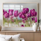 30632-MGV-FP-36X24-3P_Natural-Purple Tulip Field Wall Art – Beautiful Spring Flowers Canvas Print with Soft Focus and Bright Sky, Ideal Floral Decor for Home or