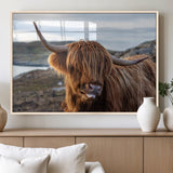 71222-MGV-FP-36X24-3P_Natural-A playful Highland cow with shaggy fur sticks out its tongue, set against a rugged landscape — perfect for quirky home or office