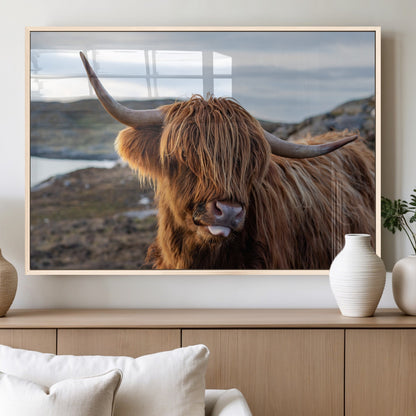 71222-MGV-FP-36X24-3P_Natural-A playful Highland cow with shaggy fur sticks out its tongue, set against a rugged landscape — perfect for quirky home or office