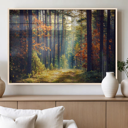86249-MGV-FP-36X24-3P_Natural-Sunlit Autumn Forest Path Wall Art – Peaceful Nature Scene with Fall Foliage, Calming Woods Decor for Home or Office