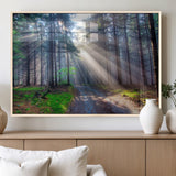 42047-MGV-FP-36X24-3P_Natural-Sunlit Forest Path Wall Art – Nature Canvas Print, Serene Woodland Landscape, Perfect Home & Office Decor for Calm and Tranquil
