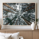 18790-MGV-FP-36X24-3P_Natural-Pine Canopy Wall Art – Panoramic View of Towering Pines Canvas Print, Nature-Inspired Decor for Office, Cabin or Living Room